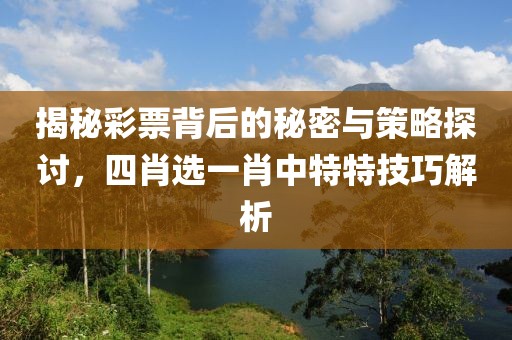 揭秘彩票背后的秘密与策略探讨，四肖选一肖中特特技巧解析