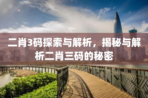 二肖3码探索与解析，揭秘与解析二肖三码的秘密