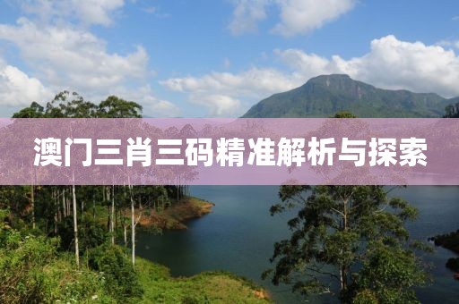 澳门三肖三码精准解析与探索