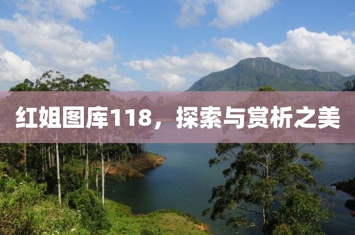 红姐图库118，探索与赏析之美