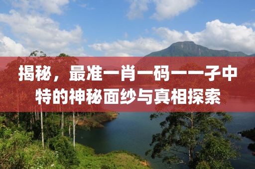 揭秘，最准一肖一码一一孑中特的神秘面纱与真相探索