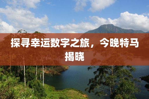 探寻幸运数字之旅，今晚特马揭晓