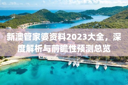 新澳管家婆资料2023大全，深度解析与前瞻性预测总览