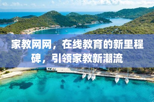 家教网网，在线教育的新里程碑，引领家教新潮流