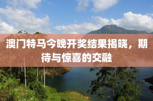 2024澳门特马今晚开奖结果出来