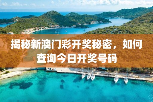 揭秘新澳门彩开奖秘密，如何查询今日开奖号码