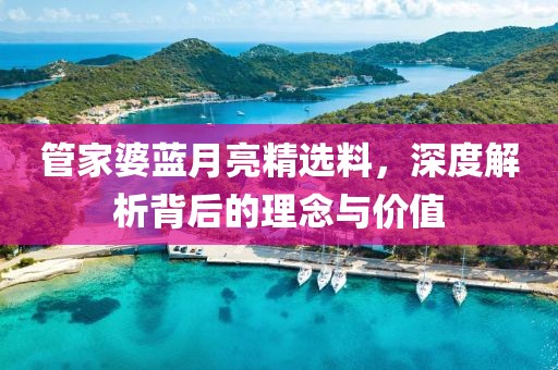 管家婆蓝月亮精选料，深度解析背后的理念与价值