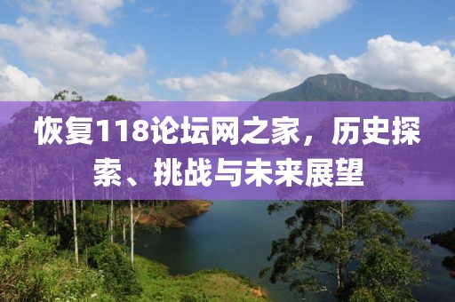 恢复118论坛网之家，历史探索、挑战与未来展望