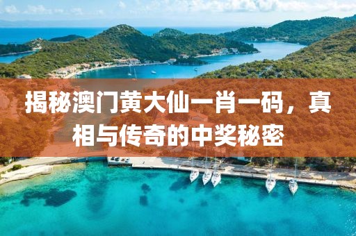 一肖一码100%中奖澳门黄大仙