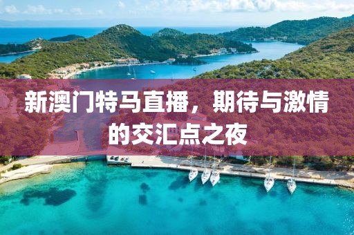 新澳门特马直播，期待与激情的交汇点之夜