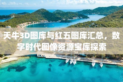天牛3D图库与红五图库汇总，数字时代图像资源宝库探索
