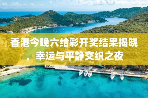 香港今晚六给彩开奖结果揭晓，幸运与平静交织之夜
