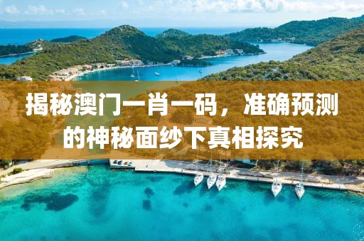揭秘澳门一肖一码，准确预测的神秘面纱下真相探究