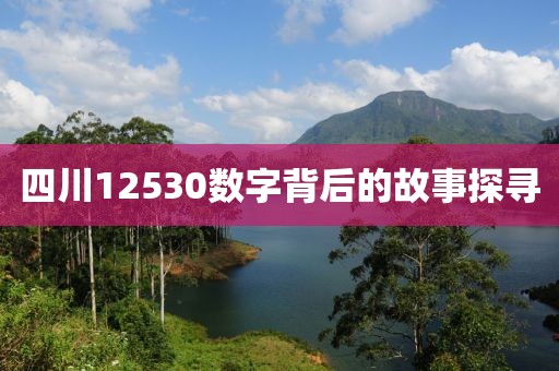 四川12530