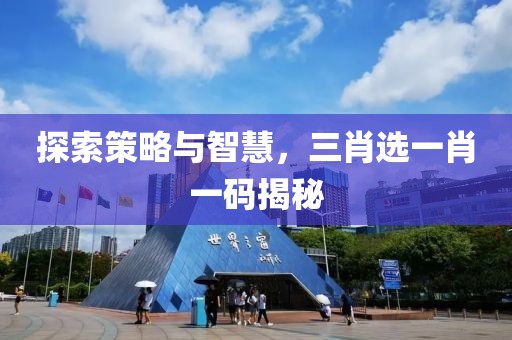 探索策略与智慧，三肖选一肖一码揭秘