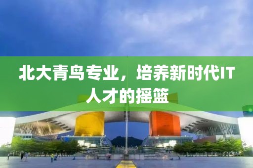 北大青鸟专业，培养新时代IT人才的摇篮