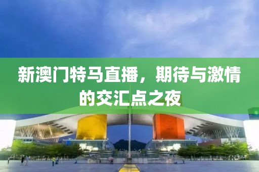 新澳门特马直播，期待与激情的交汇点之夜