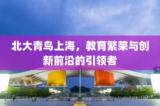 北大青鸟上海，教育繁荣与创新前沿的引领者