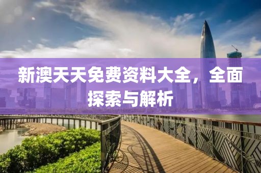 新澳天天免费资料大全，全面探索与解析