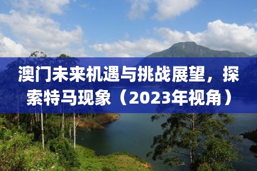 澳门未来机遇与挑战展望，探索特马现象（2023年视角）