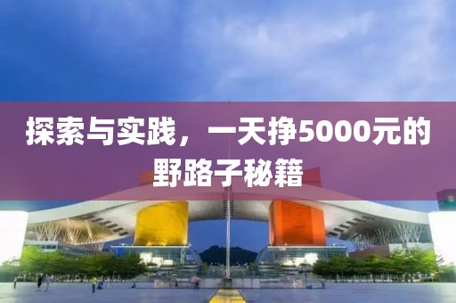 探索与实践，一天挣5000元的野路子秘籍