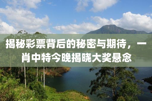 揭秘彩票背后的秘密与期待，一肖中特今晚揭晓大奖悬念