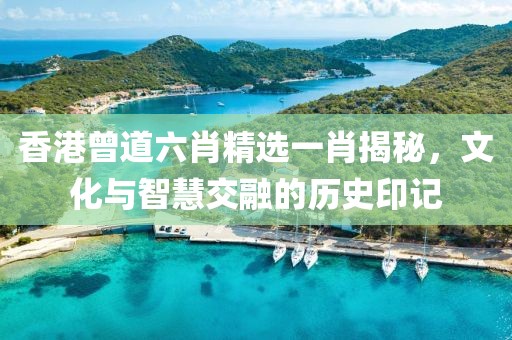 香港曾道六肖精选一肖