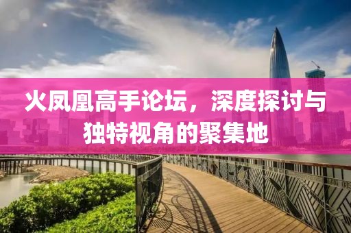 火凤凰高手论坛，深度探讨与独特视角的聚集地