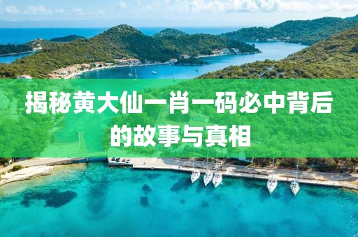 揭秘黄大仙一肖一码必中背后的故事与真相