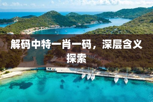 解码中特一肖一码，深层含义探索