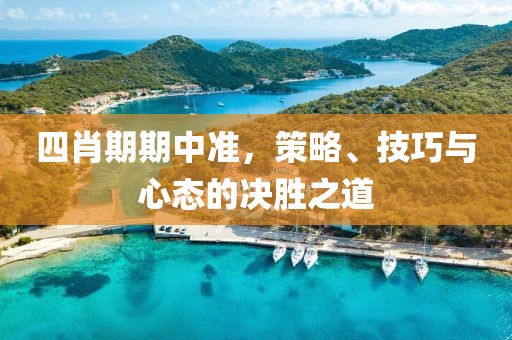 四肖期期中准，策略、技巧与心态的决胜之道