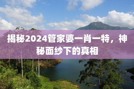 揭秘2024管家婆一肖一特，神秘面纱下的真相