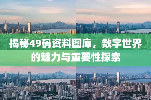 揭秘49码资料图库，数字世界的魅力与重要性探索
