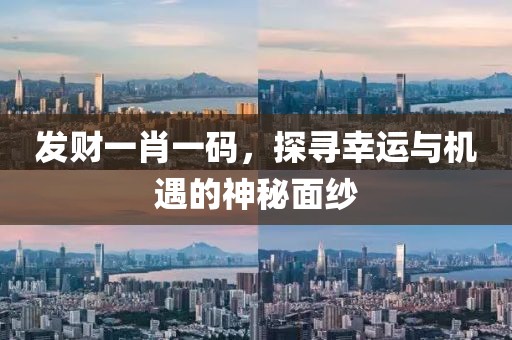发财一肖一码，探寻幸运与机遇的神秘面纱