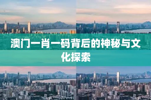 澳门一肖一码背后的神秘与文化探索