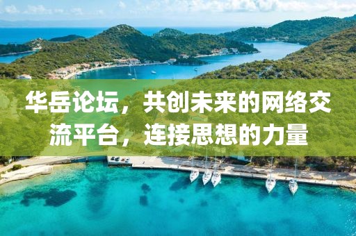 华岳论坛网址
