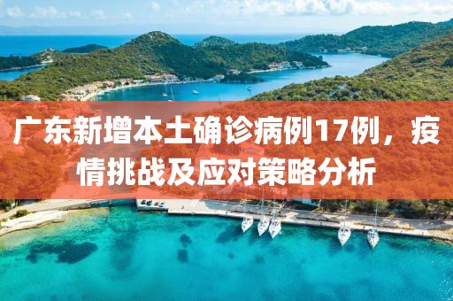 广东新增本土确诊病例17例，疫情挑战及应对策略分析