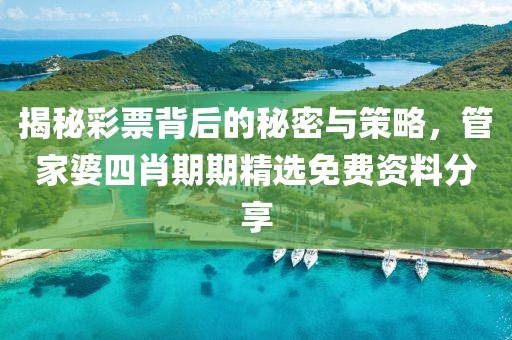 揭秘彩票背后的秘密与策略，管家婆四肖期期精选免费资料分享