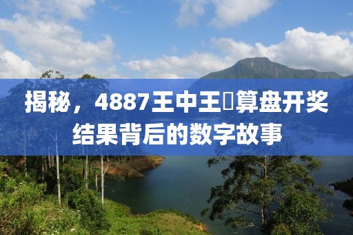 揭秘，4887王中王鉄算盘开奖结果背后的数字故事