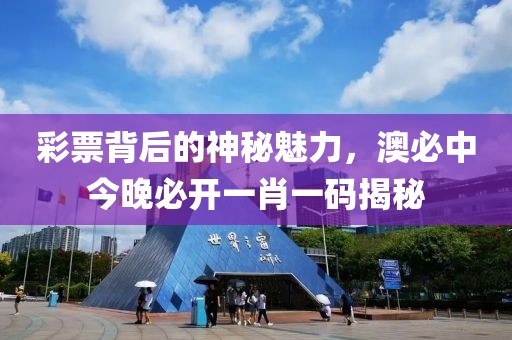 彩票背后的神秘魅力，澳必中今晚必开一肖一码揭秘