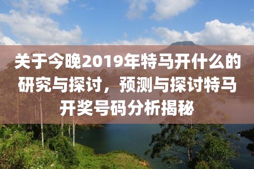 关于今晚2019年特马开什么的研究与探讨，预测与探讨特马开奖号码分析揭秘