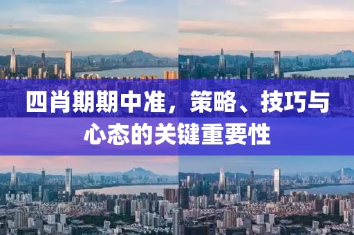 四肖期期中准，策略、技巧与心态的关键重要性