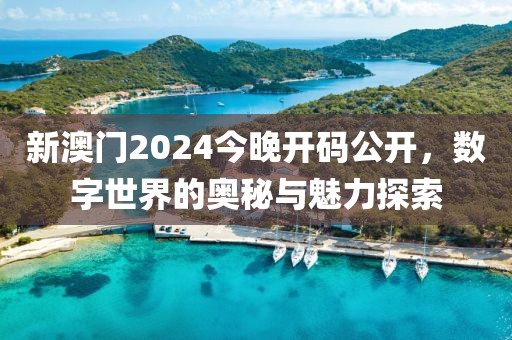 新澳门2024今晚开码公开，数字世界的奥秘与魅力探索