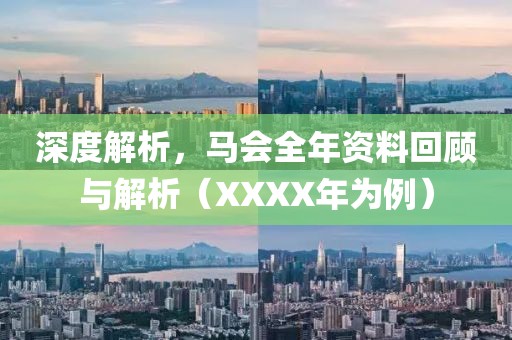 深度解析，马会全年资料回顾与解析（XXXX年为例）