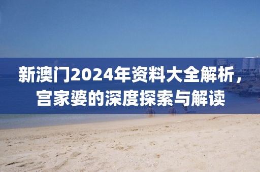 新澳门2024年资料大全解析，宫家婆的深度探索与解读