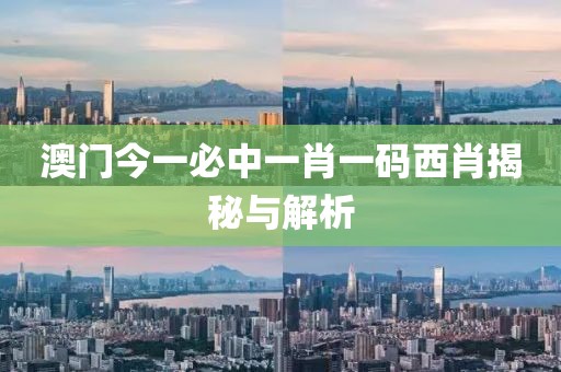 澳门今一必中一肖一码西肖揭秘与解析