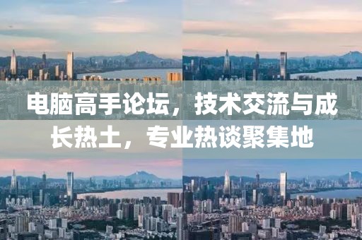 电脑高手论坛，技术交流与成长热土，专业热谈聚集地