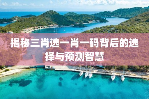 揭秘三肖选一肖一码背后的选择与预测智慧