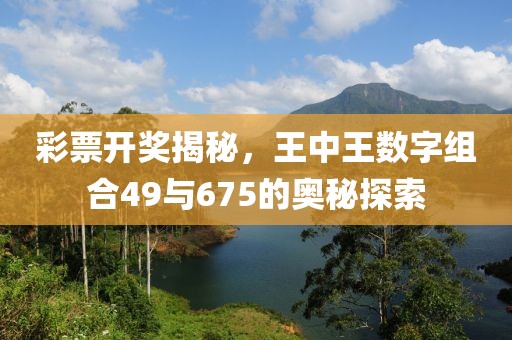彩票开奖揭秘，王中王数字组合49与675的奥秘探索