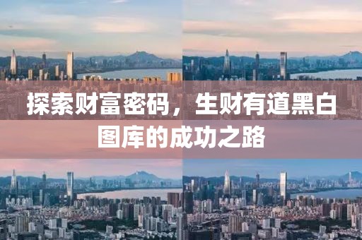 探索财富密码，生财有道黑白图库的成功之路